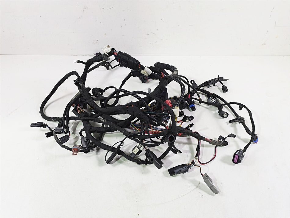 2021 Harley Softail FXST Standard Main Wiring Harness - No Abs - No Cut 69201493 {{ shop.shopifyCountryName }} - Mototech271