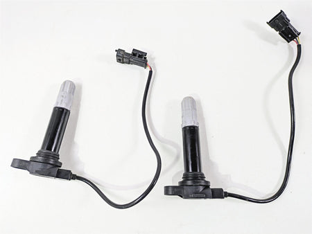 2022 Ducati Hypermotard 950 Beru Ignition Coil Set 4K 38010145B {{ shop.shopifyCountryName }} - Mototech271