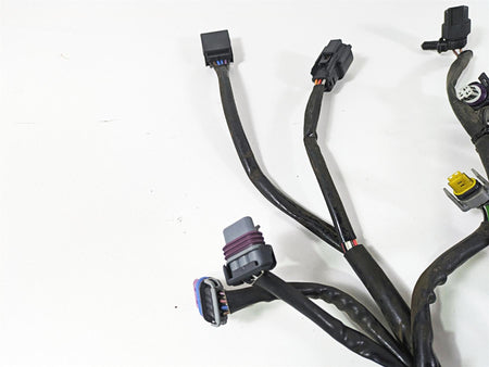 2008 Harley FLSTC Softail Heritage Main Wiring Harness Loom 70431-08A {{ shop.shopifyCountryName }} - Mototech271
