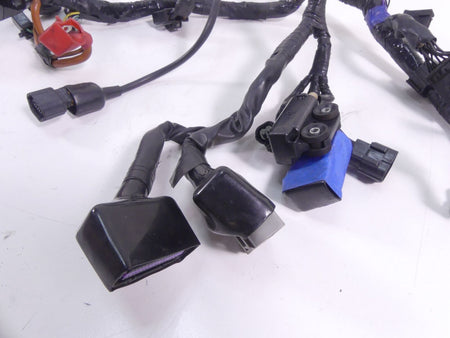 2013 Triumph America EFI Main Wiring Harness Loom - Read T2502502 {{ shop.shopifyCountryName }} - Mototech271