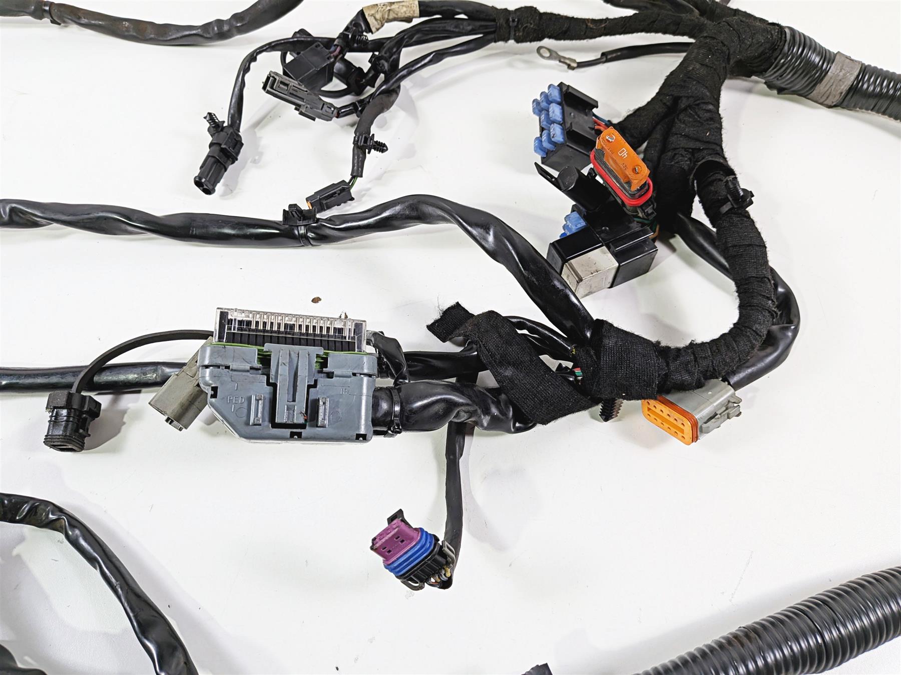 2006 Harley Davidson Dyna FXDBI Street Bob Wiring Harness Loom - Read 69602-06 {{ shop.shopifyCountryName }} - Mototech271