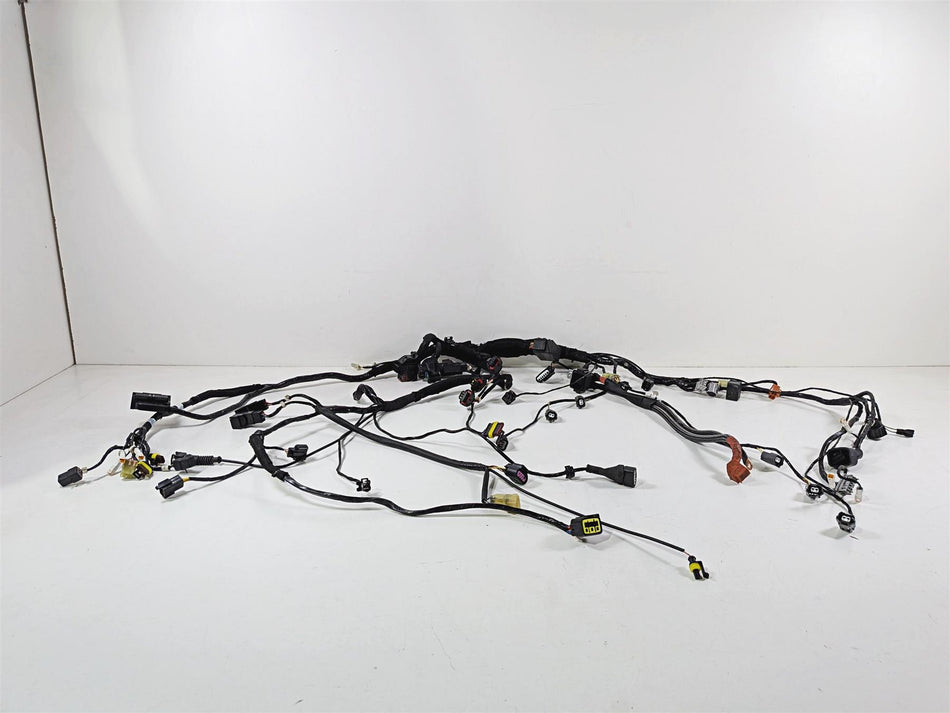 2016 Mv Agusta F3 800 RR Main Wiring Harness Loom - No Cuts 8000B9861-Mototech271