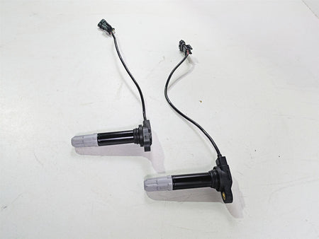 2013 Ducati Hypermotard 821 SP Beru Ignition Coil Set 38010145B {{ shop.shopifyCountryName }} - Mototech271