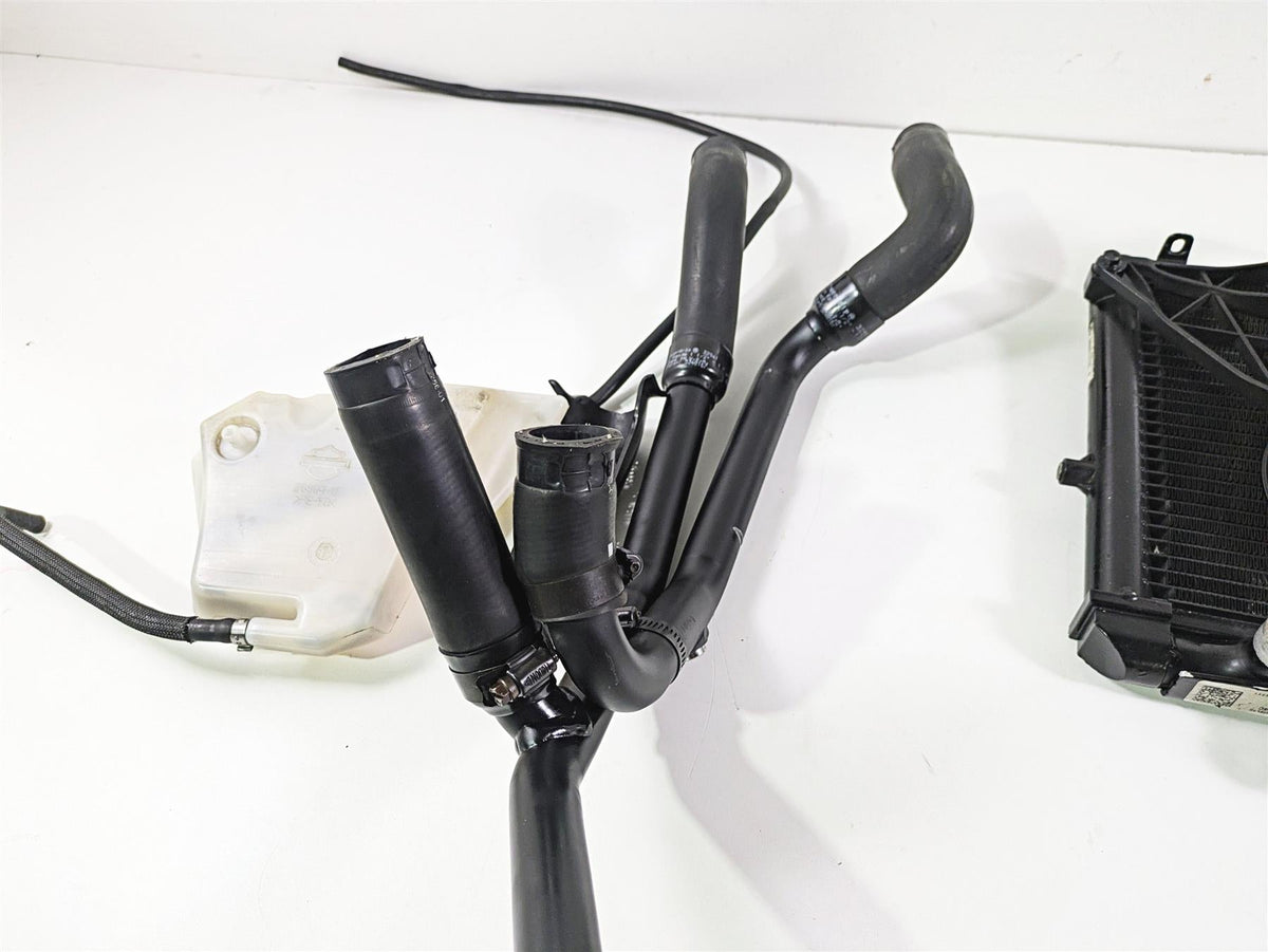 2016 Harley VRSCDX Night Rod Radiator Fans Reservoir Hoses 26800027 {{ shop.shopifyCountryName }} - Mototech271