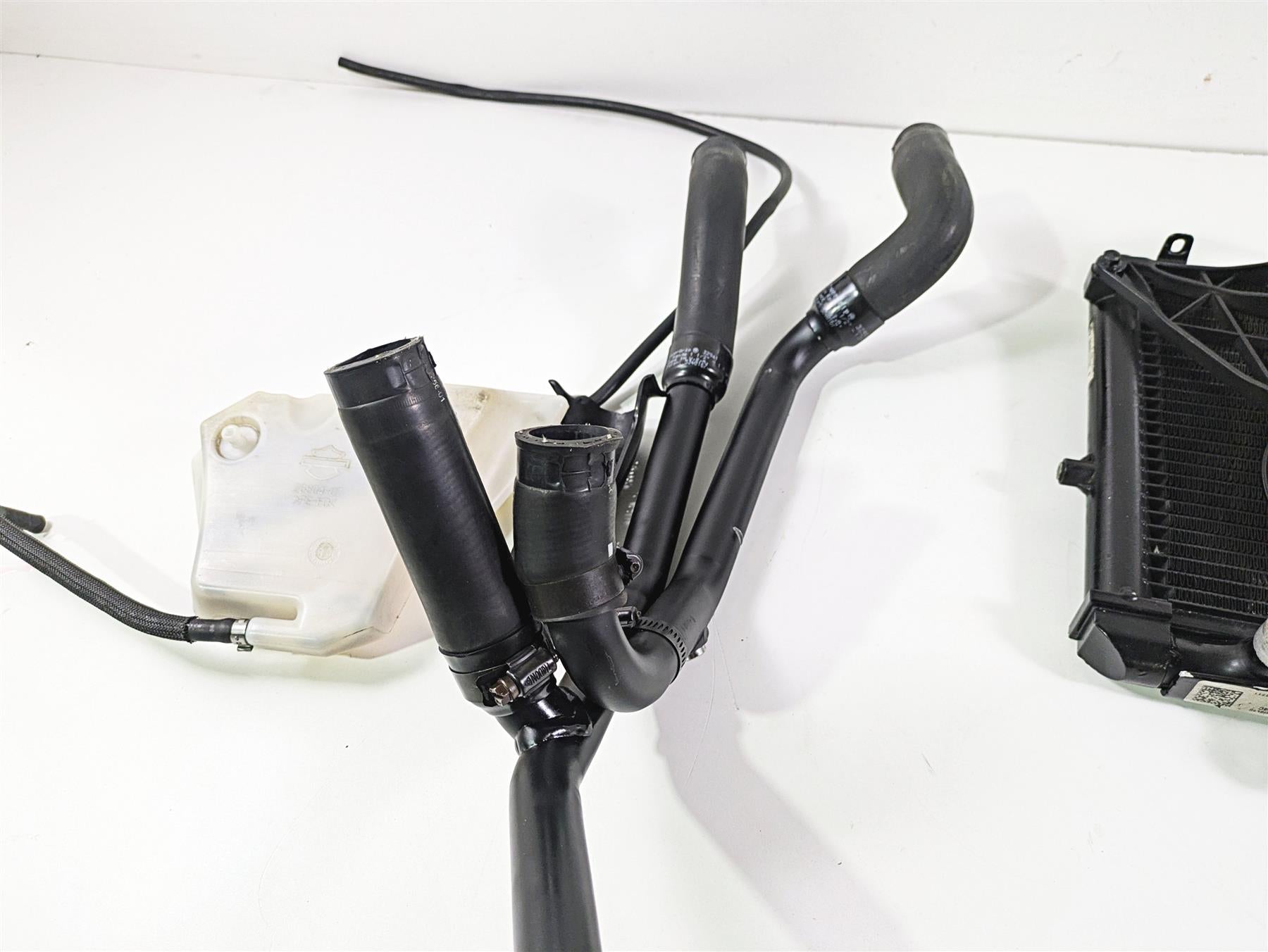 2016 Harley VRSCDX Night Rod Radiator Fans Reservoir Hoses 26800027 {{ shop.shopifyCountryName }} - Mototech271