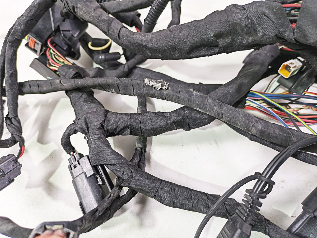 2021 Harley Softail FXST Standard Main Wiring Harness - No Abs - No Cut 69201493 {{ shop.shopifyCountryName }} - Mototech271