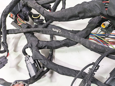 2021 Harley Softail FXST Standard Main Wiring Harness - No Abs - No Cut 69201493 {{ shop.shopifyCountryName }} - Mototech271