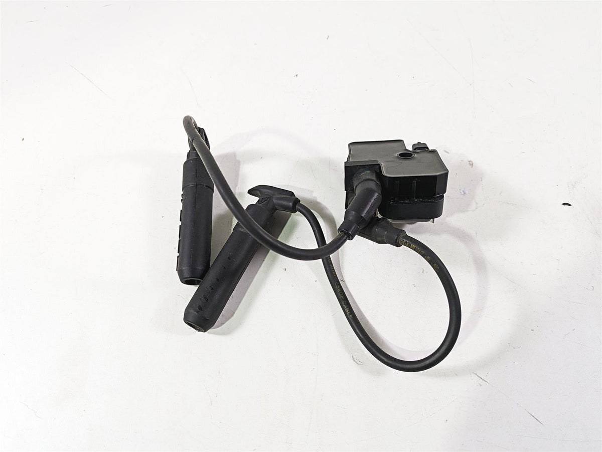 2018 Indian Chieftain Dark Horse Ignition Coil Wires Plugs 4010425 2876049 {{ shop.shopifyCountryName }} - Mototech271