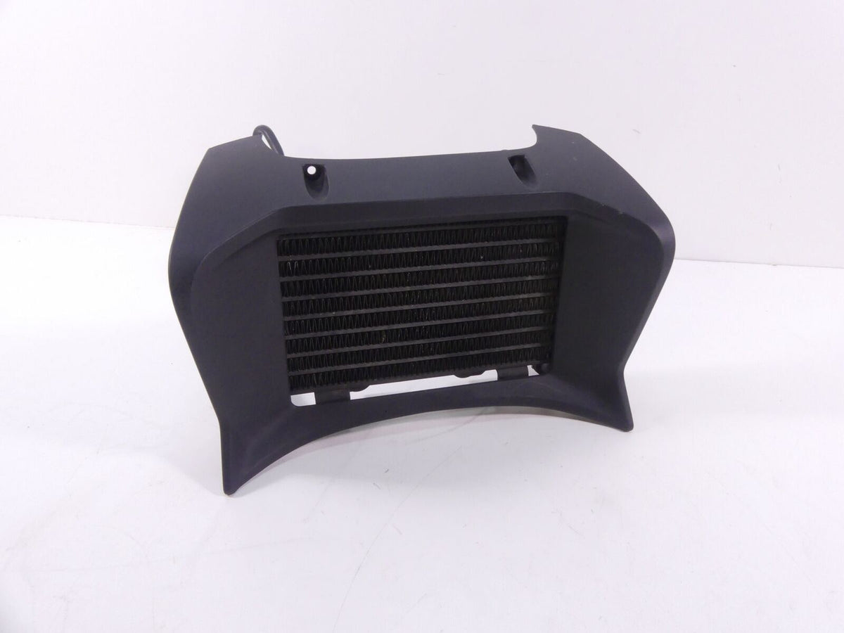 2008 BMW R1200R K27 Oil Cooler Radiator + Cover Fairing & Lines Set 17217683630 {{ shop.shopifyCountryName }} - Mototech271