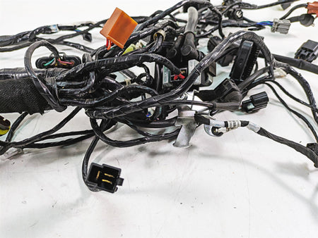2017 Mv Agusta Dragster 800 Wiring Harness Loom -No Cuts 8000B9705 {{ shop.shopifyCountryName }} - Mototech271
