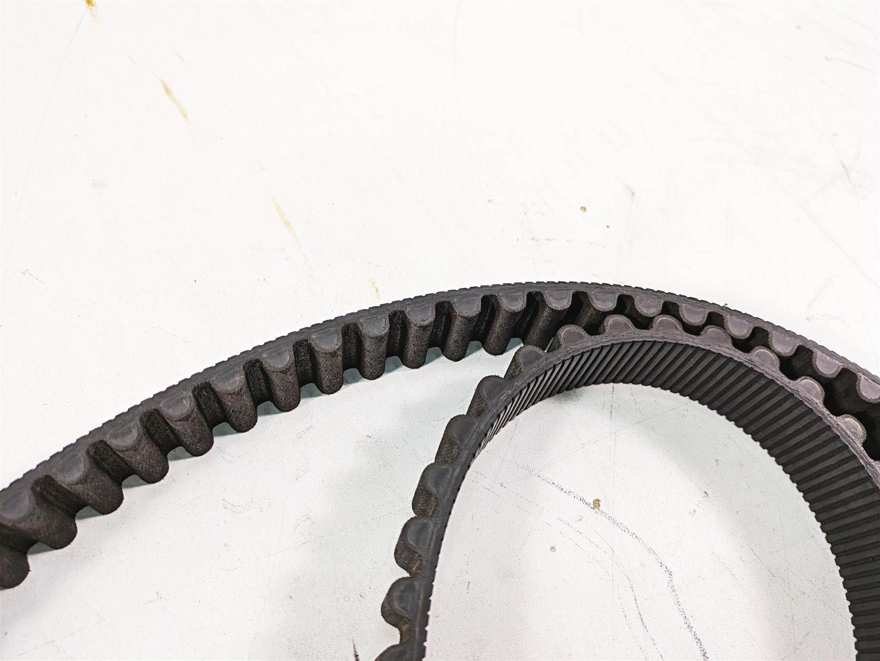 2006 Harley Sportster XL1200 Rear Drive Belt 1-1/8" 137T 40571-04B {{ shop.shopifyCountryName }} - Mototech271