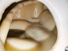 Load image into Gallery viewer, 2005 KTM 950 LC8 Adventure Left Side Plastic Fuel Gas Tank 60007013044
