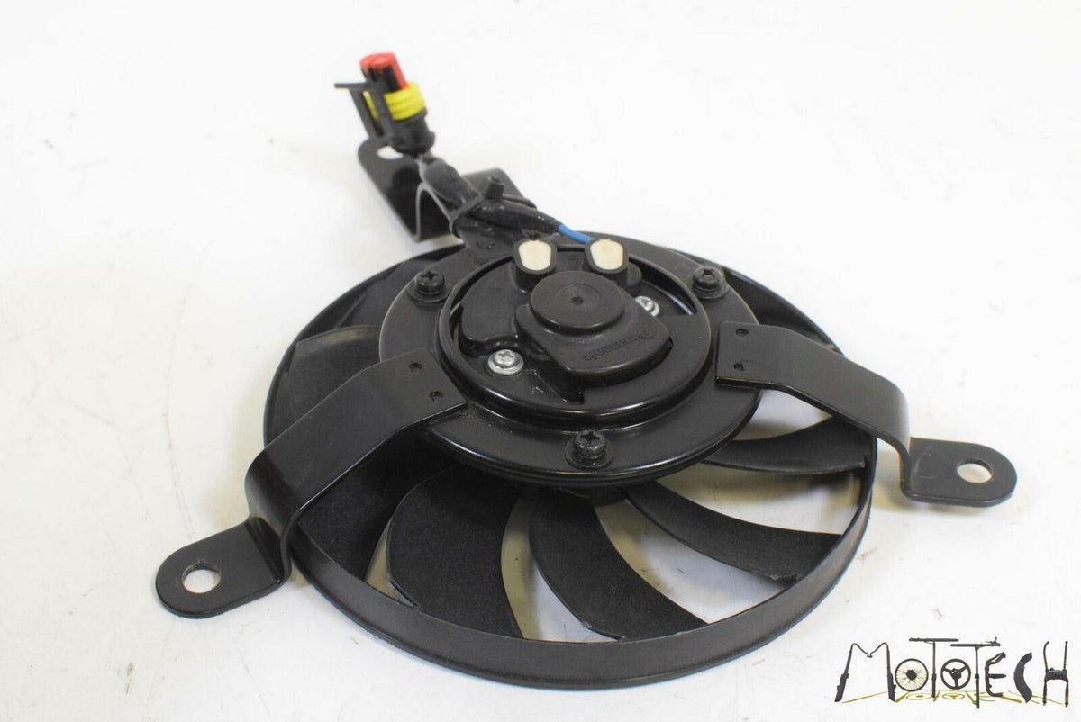 2008 Ducati 1098 Superbike Radiator Fan Reservoir and Hoses SET 55040181A {{ shop.shopifyCountryName }} - Mototech271