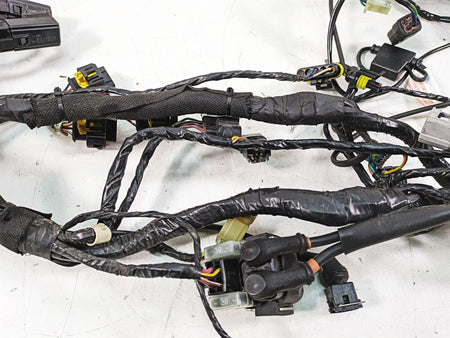 2013 MV Agusta F3 675 ERA Main Wiring Harness Loom No Abs - Read 8000B5913 {{ shop.shopifyCountryName }} - Mototech271