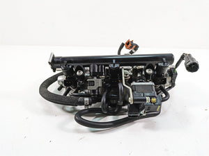 2012 Triumph Tiger 800XC ABS Keihin Throttle Body Fuel Injection Set T1243800