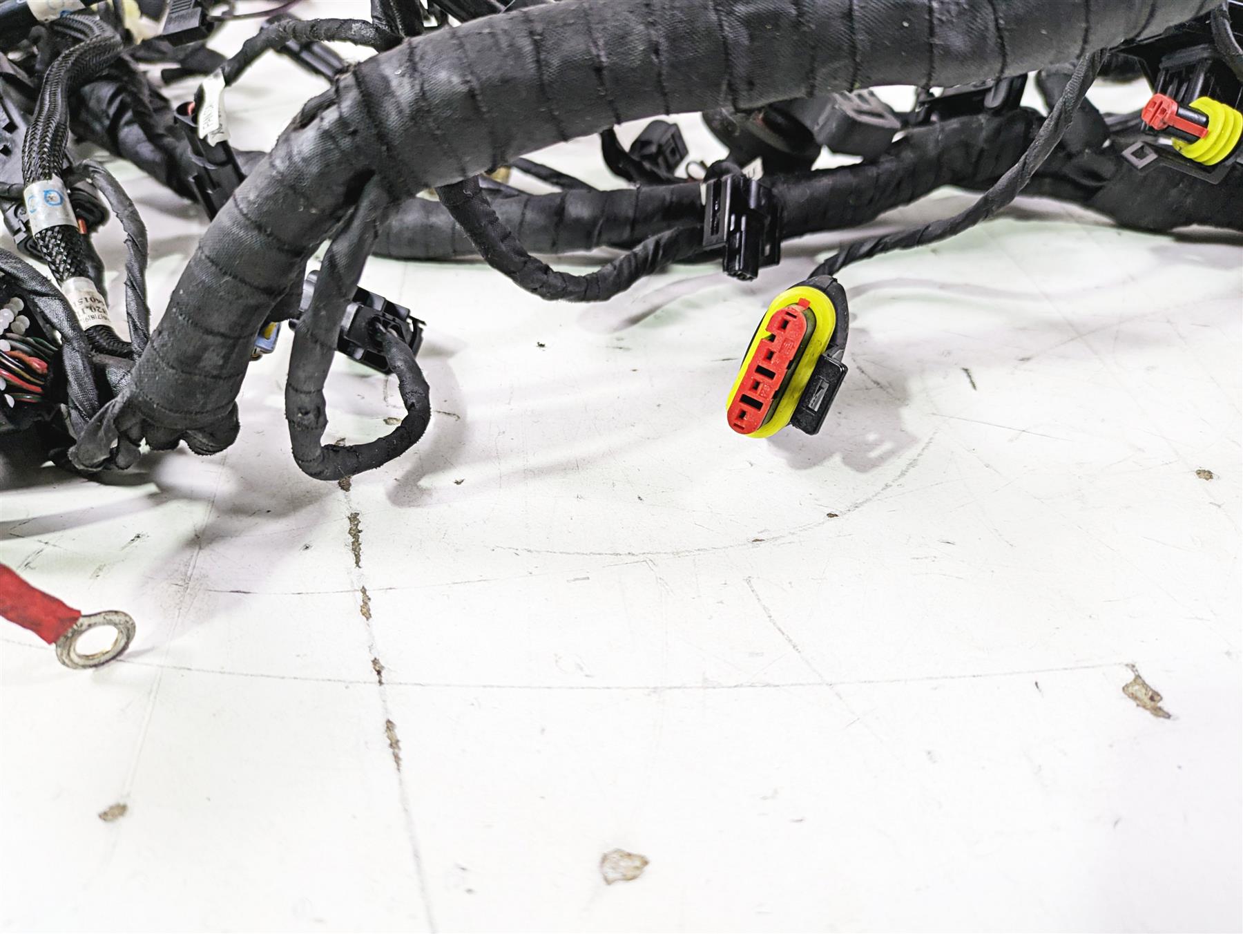 2017 Ducati Monster 1200 S Main Wiring Harness Loom No Cuts 5101B291C {{ shop.shopifyCountryName }} - Mototech271