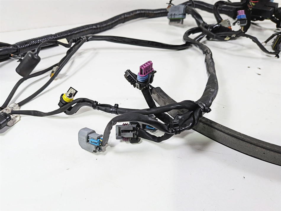 2007 Harley Dyna FXDB Street Bob Main Wiring Harness Loom - Cuts 69602-07 {{ shop.shopifyCountryName }} - Mototech271