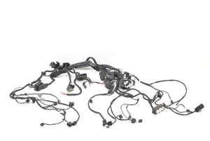 2014 BMW R1200 RT K52 Main Wiring Harness Loom Central Locking ESA 61118554241