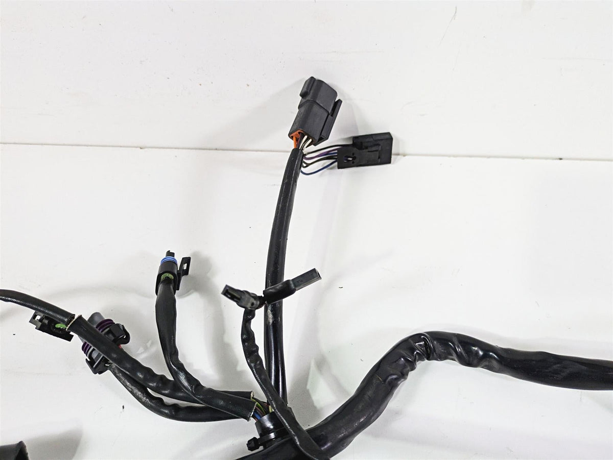 2003 Harley Softail FXSTDI Deuce 100th Wiring Harness Loom - Read 70431-03 {{ shop.shopifyCountryName }} - Mototech271