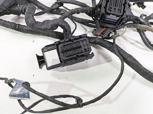 2017 BMW F800GS Adv K75 Engine & Main Wiring Harness 12518566629 61118566632