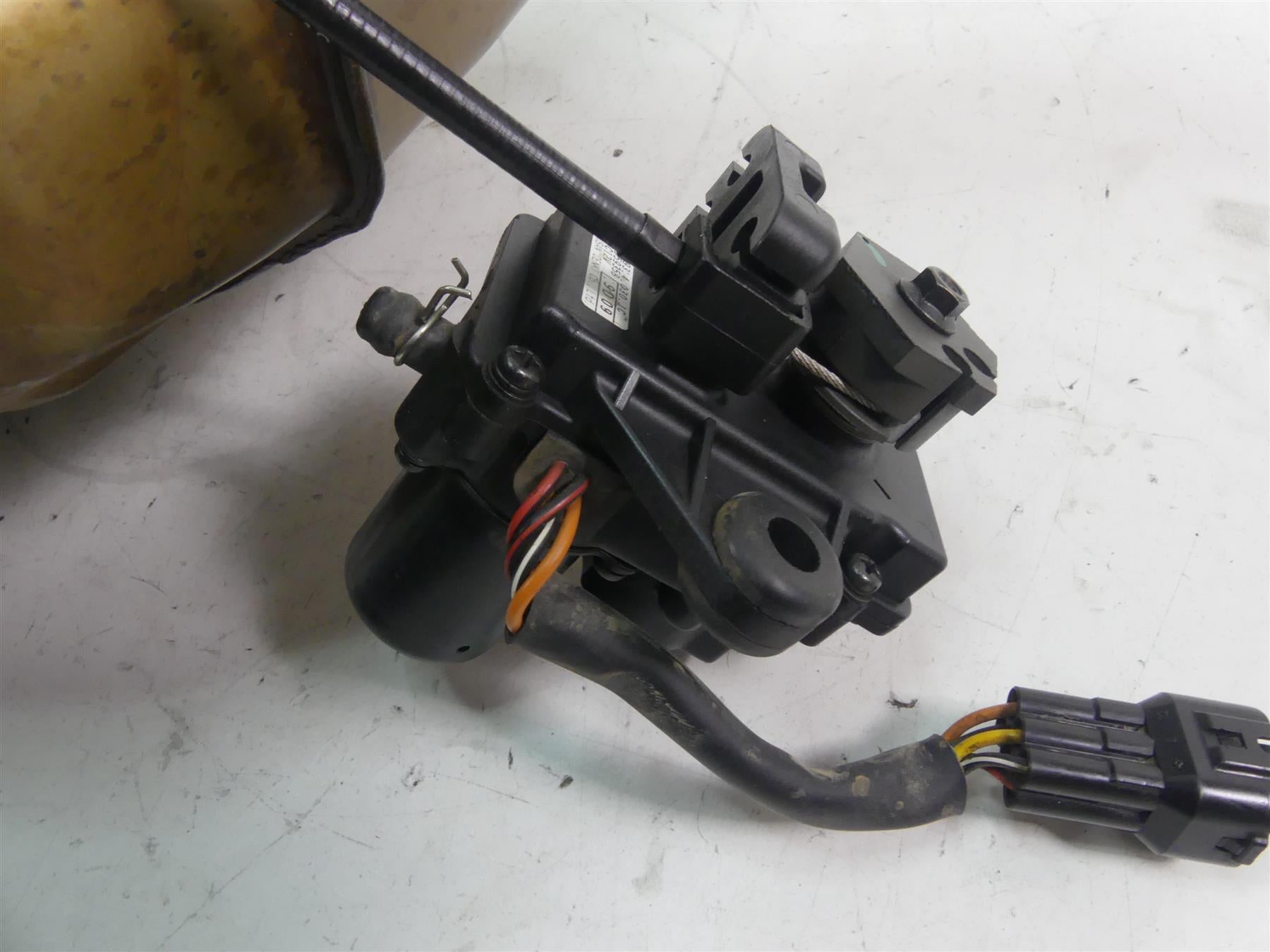 2020 Ducati Multistrada 1260 Enduro Oem Exhaust Chamber Header + Servo 57314521A {{ shop.shopifyCountryName }} - Mototech271