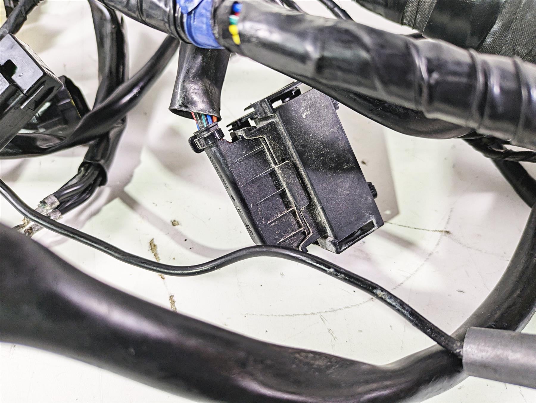 2019 Triumph Speed Triple RS 1050 Wiring Harness Loom -No Cuts T2502526 {{ shop.shopifyCountryName }} - Mototech271