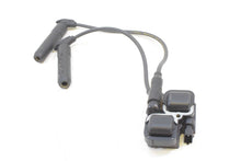 Load image into Gallery viewer, 2016 Indian Chief Classic Ignition Coil Pack 4010425 2876049
