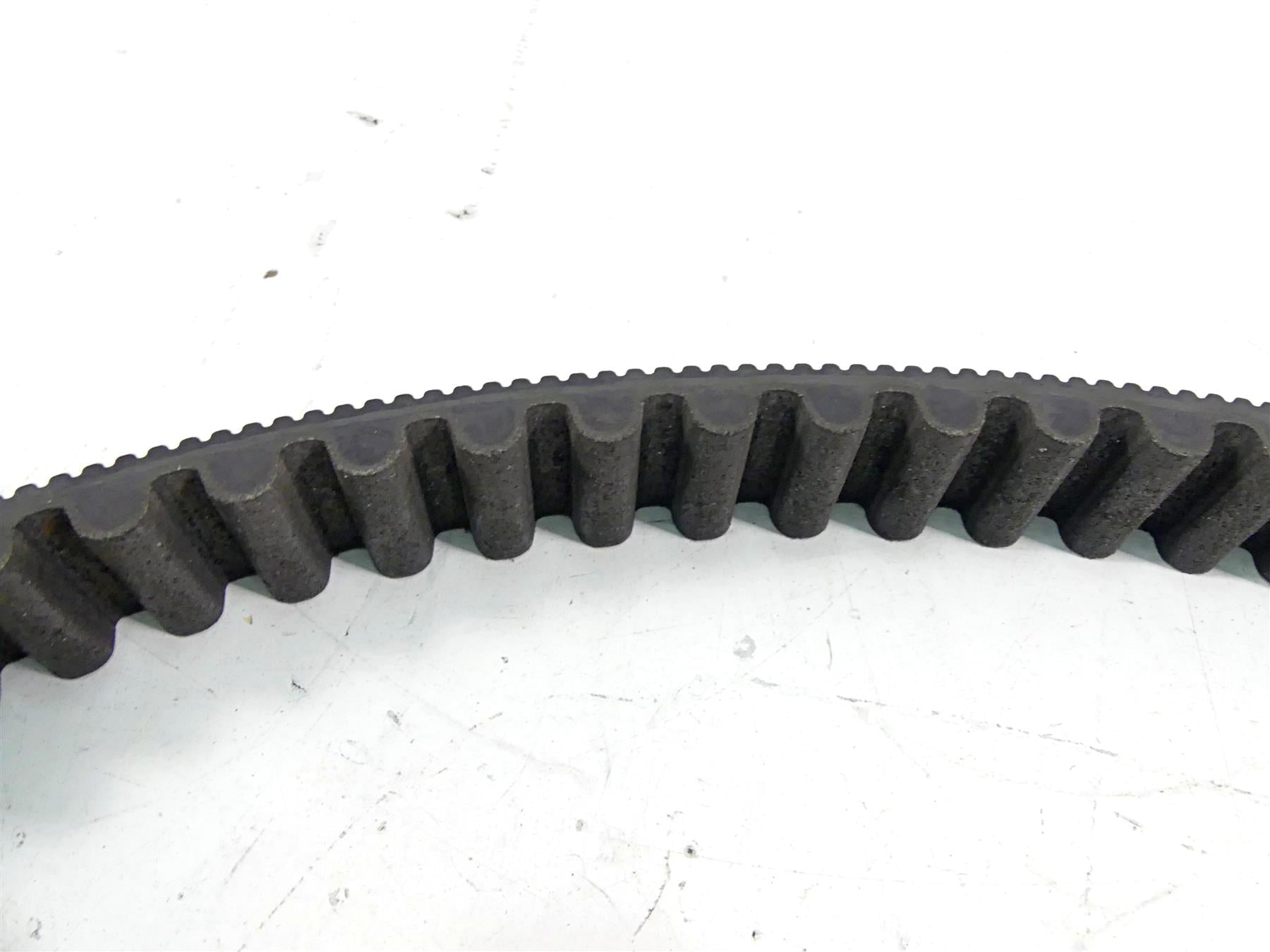2015 Harley Davidson VRSCDX Night Rod Sp Rear Drive Belt 151T 40144-07 {{ shop.shopifyCountryName }} - Mototech271