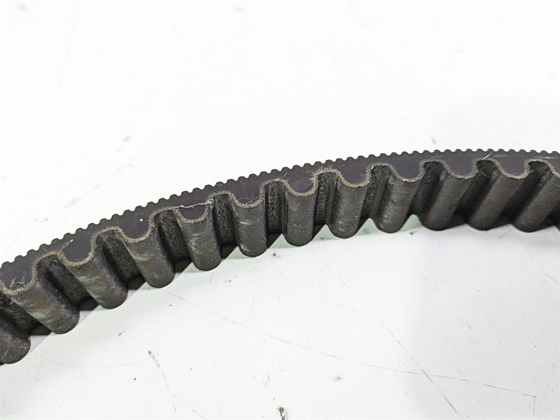 2007 Harley FXDWG Dyna Wide Glide Main Drive Belt 131T 1" 40046-07 {{ shop.shopifyCountryName }} - Mototech271