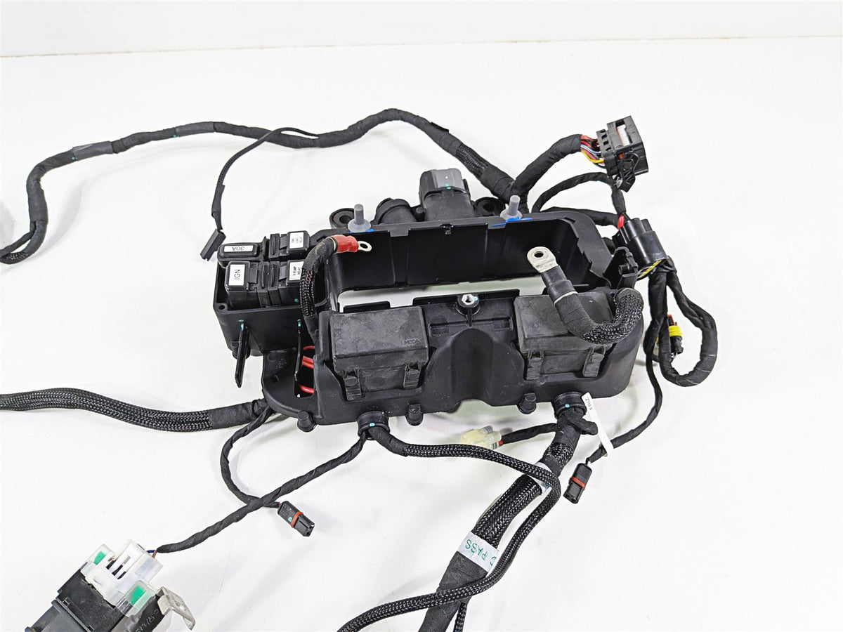 2023 Ducati Streetfighter V4 Main Wiring Harness Loom - No Cuts 5101M271B-Mototech271