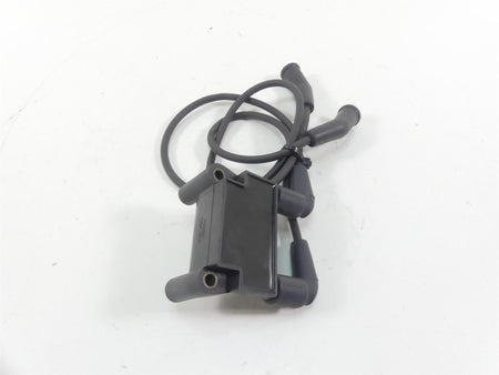 2016 Harley Touring FLHR Road King Delphi Ignition Coil Wires Plugs 31696-07A {{ shop.shopifyCountryName }} - Mototech271