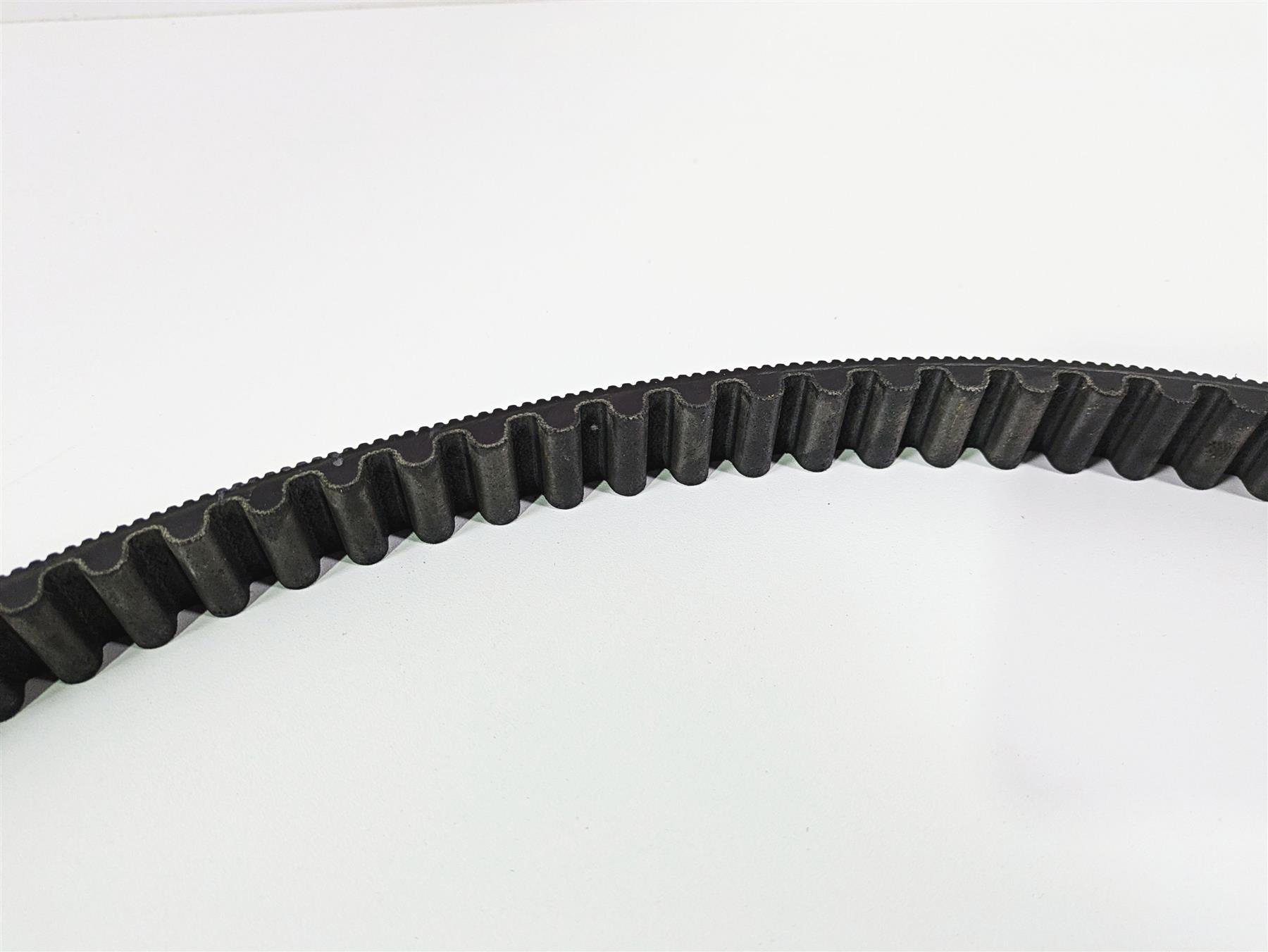 2019 Harley Softail FXDR 114 Rear Drive Belt 134T 24mm 40000018 {{ shop.shopifyCountryName }} - Mototech271