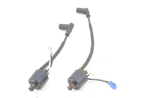 2009 Polaris RMK 600 S09PM6KS Ignition Coil Set 4012168 4012169 | Mototech271