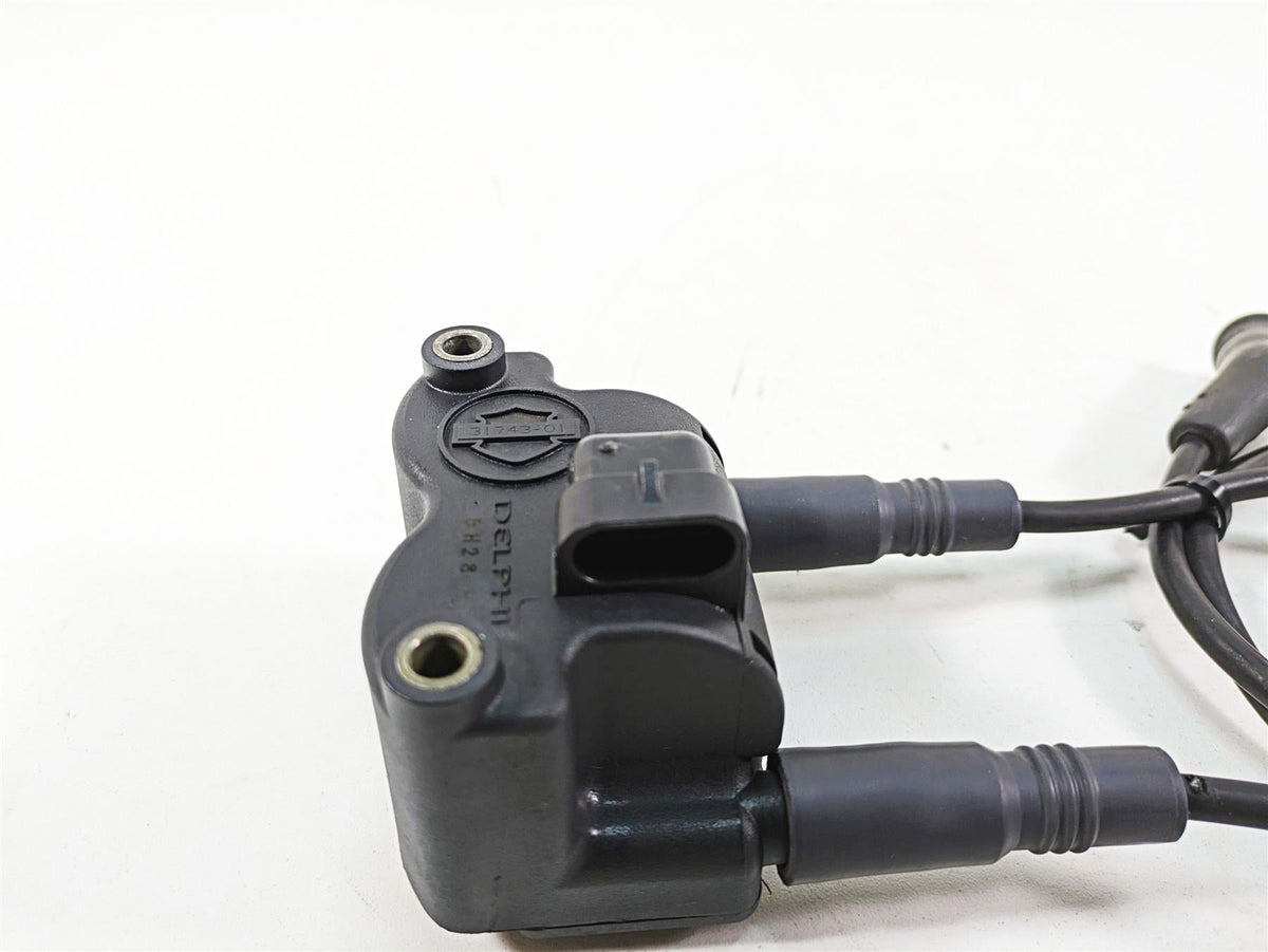 2006 Harley Touring FLHXI Street Glide Delphi Ignition Coil Wires Plugs 31743-01 {{ shop.shopifyCountryName }} - Mototech271