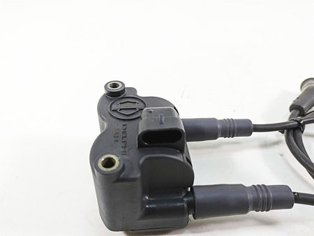 2006 Harley Touring FLHXI Street Glide Delphi Ignition Coil Wires Plugs 31743-01 {{ shop.shopifyCountryName }} - Mototech271