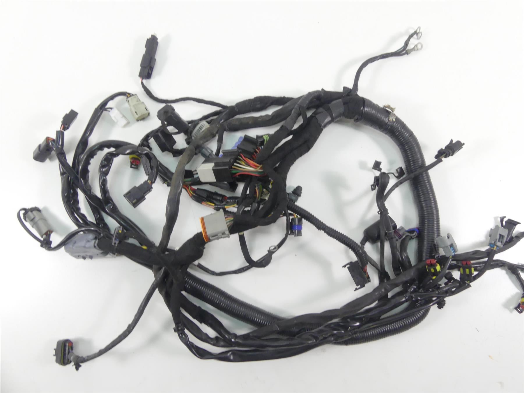 2009 Harley Dyna FXDF SE CVO Fat Bob Wiring Harness Loom -No Cuts 70184-09 {{ shop.shopifyCountryName }} - Mototech271