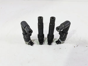 2009 BMW R1200GS K255 Adv Beru Ignition Coil Set 12137715847 12137715858 | Mototech271