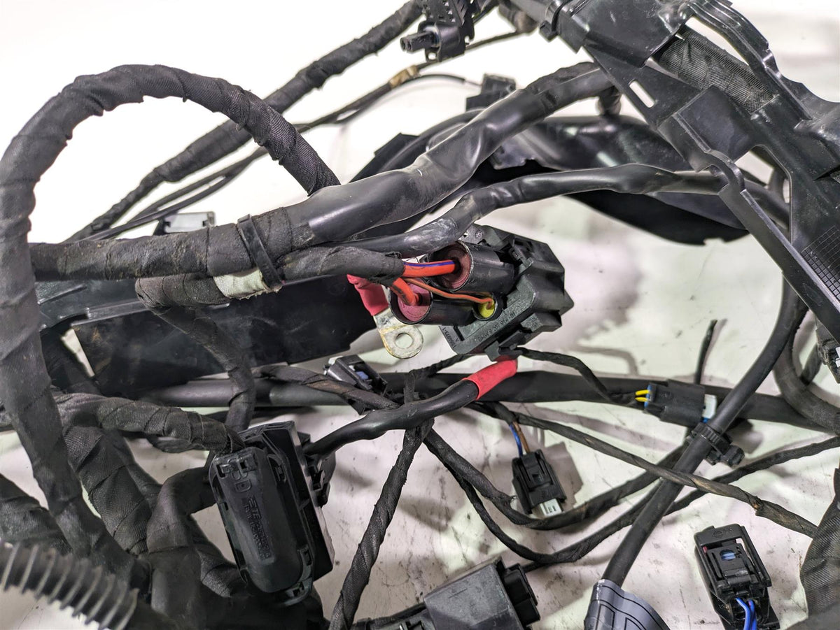 2022 BMW R1250 RT K052 Main & Engine Wiring Harness Esa - Read 61111683202 {{ shop.shopifyCountryName }} - Mototech271