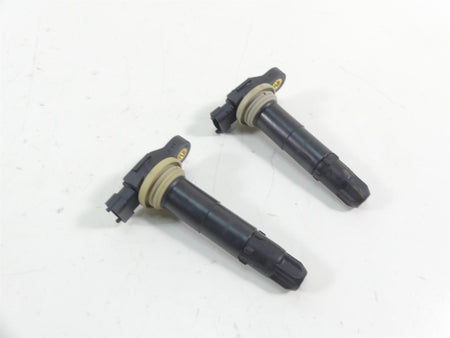 2015 Eric Buell Racing 1190SX Beru Ignition Coil Set 665817 0040100084 {{ shop.shopifyCountryName }} - Mototech271