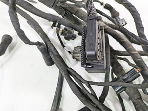 2013 Ducati Hyperstrada 821 Wiring Harness Loom 51018461D | Mototech271