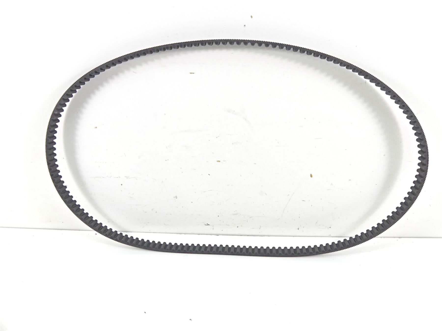 2015 Harley Davidson VRSCDX Night Rod Sp Rear Drive Belt 151T 40144-07 {{ shop.shopifyCountryName }} - Mototech271