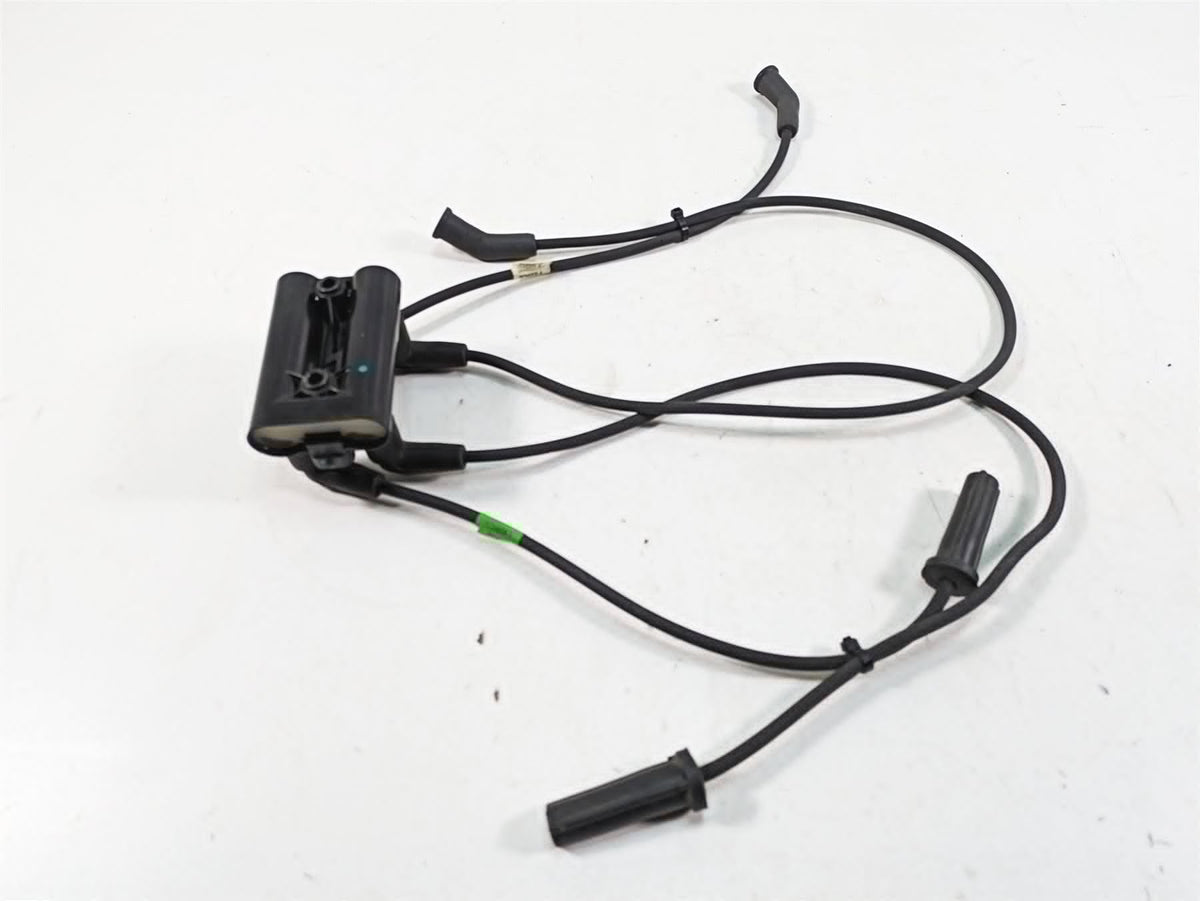 2020 Harley Touring FLHX Street Glide Delphi Ignition Coil Wires Plugs 28514000 {{ shop.shopifyCountryName }} - Mototech271