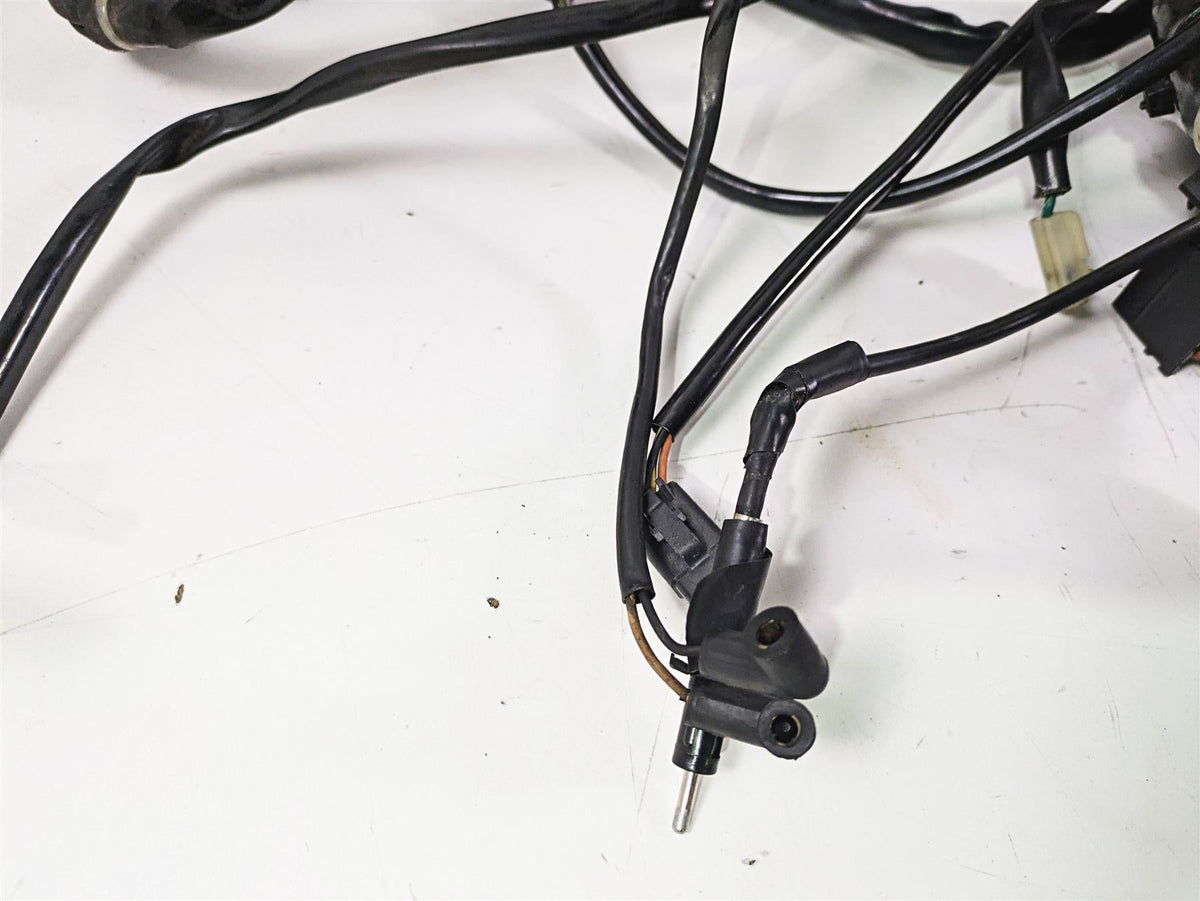 2003 Harley Touring FLHTCUI E-Glide 100th Main Wiring Harness - No Cuts 70985-03 {{ shop.shopifyCountryName }} - Mototech271