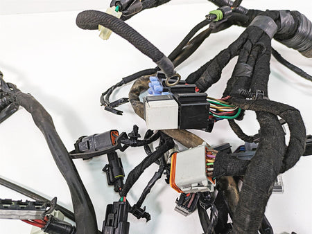 2009 Harley FXDF Dyna Fat Bob Main Wiring Harness Loom - Read 69603-08A {{ shop.shopifyCountryName }} - Mototech271