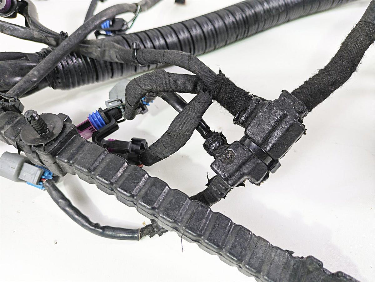 2015 Harley FXDF Dyna Fat Bob Wiring Harness Loom No Cuts - Abs 69200454 {{ shop.shopifyCountryName }} - Mototech271
