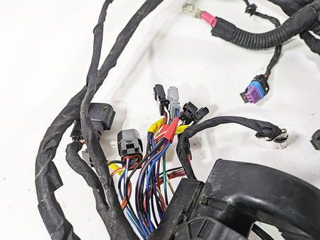 2021 Harley Softail FLSL Slim Complete Wiring Harness Non Abs -Read 69202198 {{ shop.shopifyCountryName }} - Mototech271