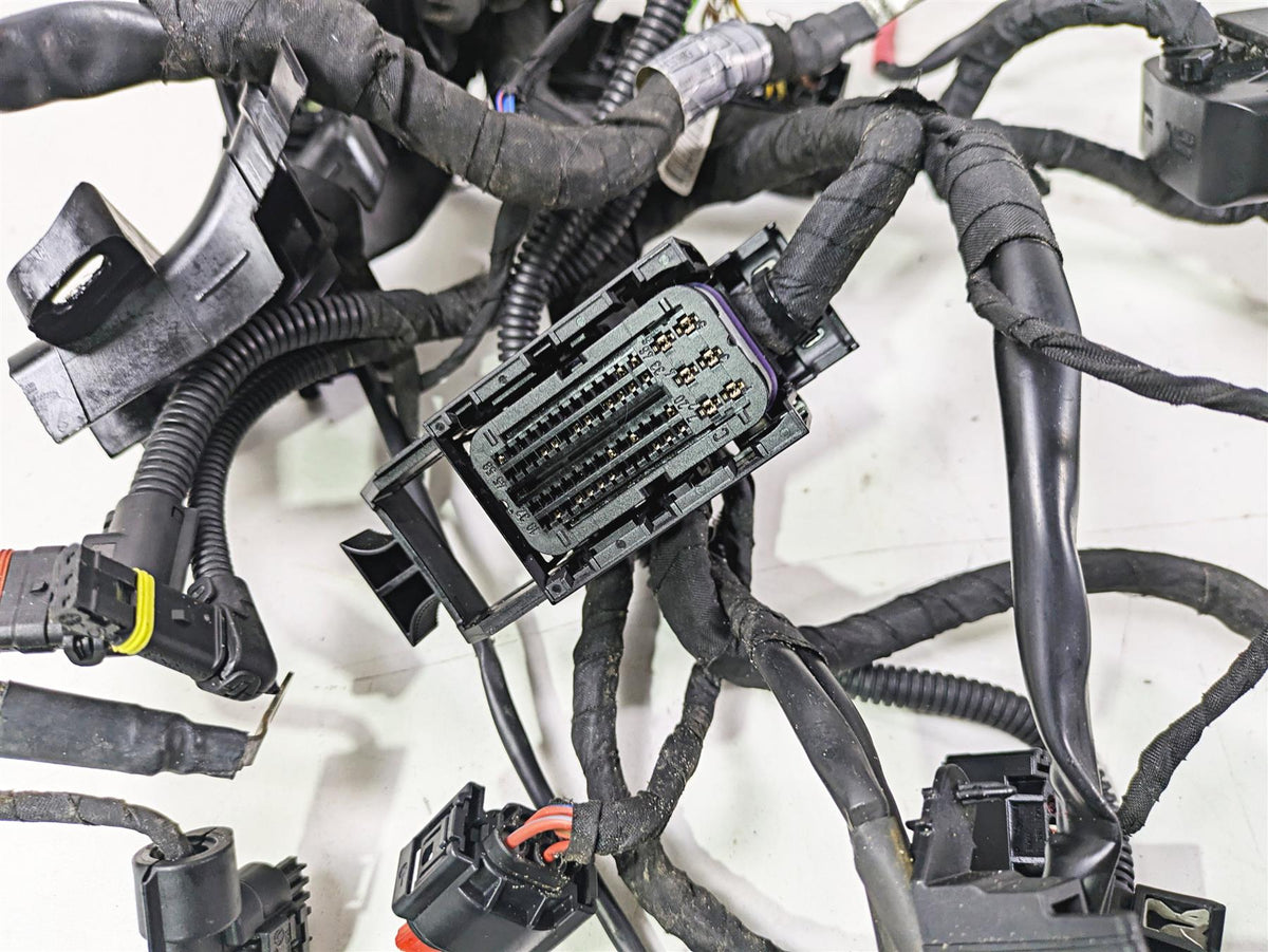 2015 BMW R1200GS Adv K51 Main & Engine Wiring Harness READ 61118549371 {{ shop.shopifyCountryName }} - Mototech271