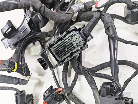 2015 BMW R1200GS Adv K51 Main & Engine Wiring Harness READ 61118549371 {{ shop.shopifyCountryName }} - Mototech271
