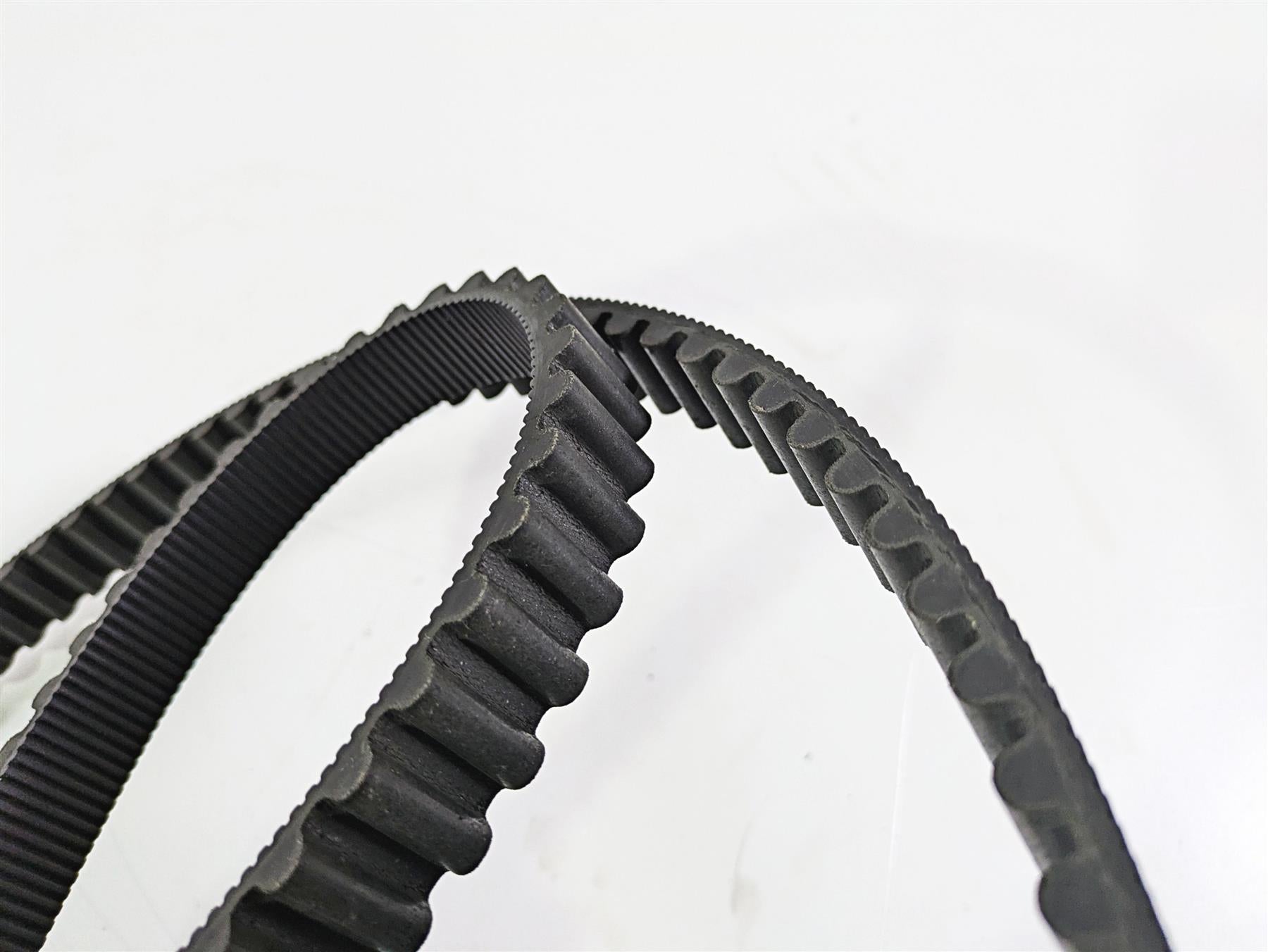 2016 Harley VRSCDX Night Rod Rear Drive Belt 151T 1" 40144-07 {{ shop.shopifyCountryName }} - Mototech271
