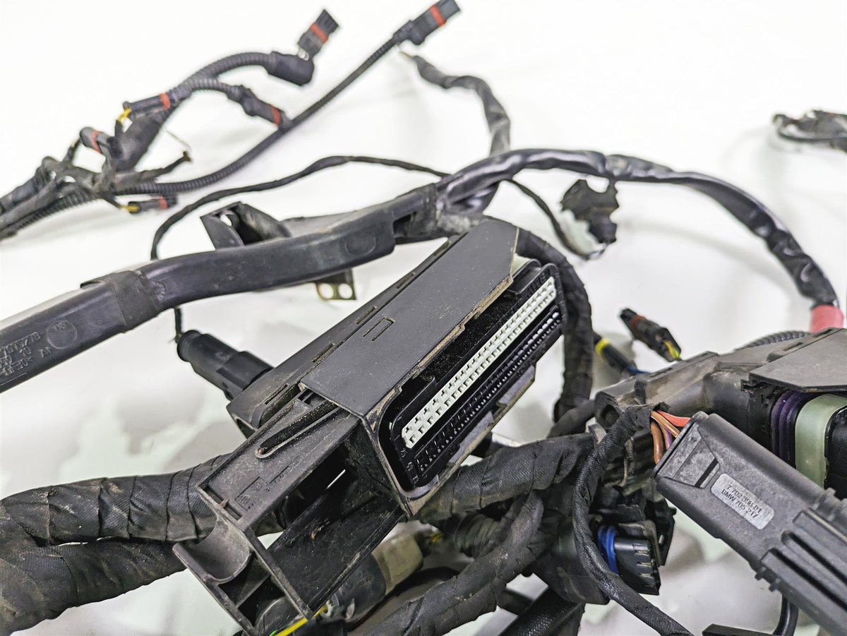 2006 BMW R1200GS K255 Adv Main & Engine Wiring Harness 61117699821 {{ shop.shopifyCountryName }} - Mototech271
